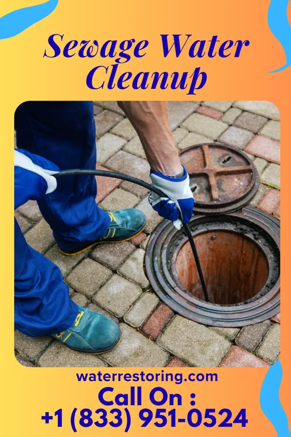 Sewage Water Cleanup in Wausaukee, WI