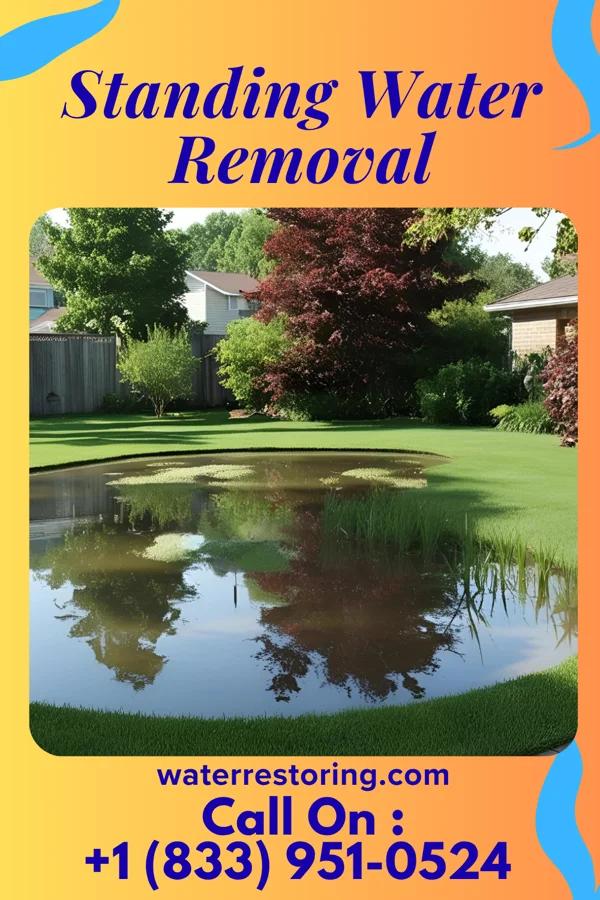 Standing Water Removal in Wausaukee, WI
